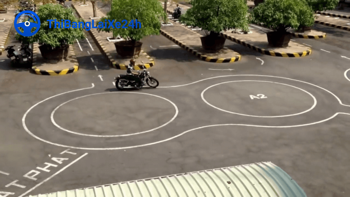 bai thi so 1 vong so 8