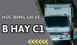 Học Lái Xe Ô Tô Ở Vĩnh Long – Nên Chọn B Hay C1 Năm 2025?