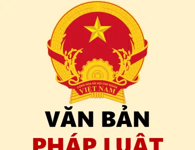 Tổng Hợp Ôn Thi GPLX Ô Tô 600 Câu